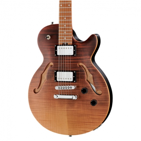 Harley Benton Aeolus Frost Flame