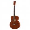 Harley Benton CG-45 NS