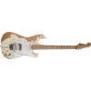 Електрогітара Charvel LTD SC 1 Henrik Danhage Relic