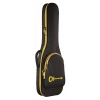 Электрогитара Charvel Pro Mod Plus DK24 MNT OCN