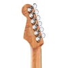 Электрогитара Charvel Pro Mod Plus DK24 MNT OCN