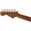 Електрогітара Charvel Pro Mod Plus DK24 VRAD