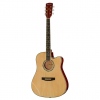 Harley Benton D-120CE NT