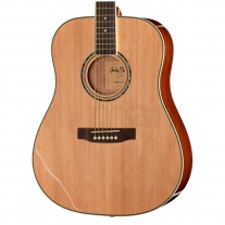 Harley Benton D-120NT