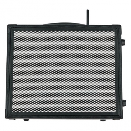 Elite Acoustics M2-6 Acoustic Amplifier Combo 30W Acoustic