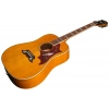 Акустична гітара Epiphone Dove Studio Nat