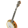 Банджо Epiphone Earl Scruggs Golden Deluxe
