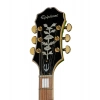 Электрогитара Epiphone Emperor Swingster Forest Green