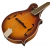 Мандолина Epiphone F-5 Studio VS Satin