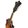 Мандолина Epiphone F-5 Studio VS Satin