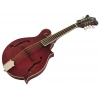 Мандолина Epiphone F-5 Studio WR Satin