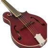 Мандолина Epiphone F-5 Studio WR Satin