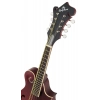 Мандолина Epiphone F-5 Studio WR Satin