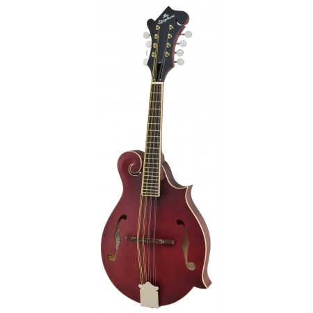 Мандолина Epiphone F-5 Studio WR Satin