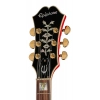 Електрогітара Epiphone Gem Archer Sheraton Mbilt CR