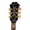 Електрогітара Epiphone Gem Archer Sheraton Mbilt LH
