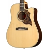 Акустична гітара Epiphone Hummingbird Deluxe EC NA IBC