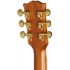 Акустична гітара Epiphone Hummingbird Deluxe EC NA IBC