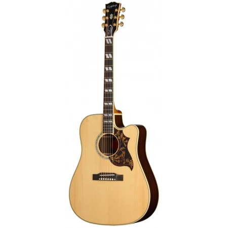 Акустична гітара Epiphone Hummingbird Deluxe EC NA IBC