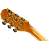 Акустична гітара Epiphone Hummingbird Standard EC N