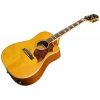Акустична гітара Epiphone Hummingbird Standard EC N