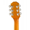 Акустична гітара Epiphone Hummingbird Studio HCS