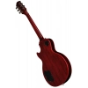Электрогитара Epiphone Les Paul Custom Widow RB