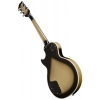 Електрогітара Epiphone LP Custom 1979 Adam Jones