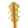 Акустическая гитара Epiphone Masterbilt Excellente