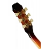 Акустична гітара Epiphone Masterbuilt Frontier