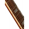 Акустична гітара Epiphone Masterbuilt Frontier
