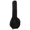 Банджо Epiphone Mastertone Bow Tie OB Banjo