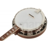 Банджо Epiphone Mastertone Classic Banjo