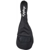 Укулеле Epiphone Ukulele Hummingbird Outfit FCS