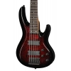 Бас-гітара ESP LTD B-205DX RB