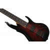 Бас-гітара ESP LTD B-205DX RB