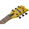 Електрогітара ESP LTD EC-2025 50TH Anniv MG ltd