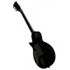 Электрогитара ESP LTD GH 600 BLK