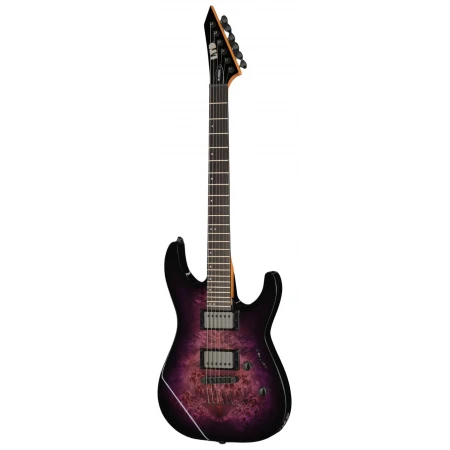 Електрогітара ESP LTD M-200DX NT PB