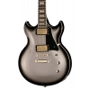 Електрогітара ESP LTD Royal Shiva Silver SB