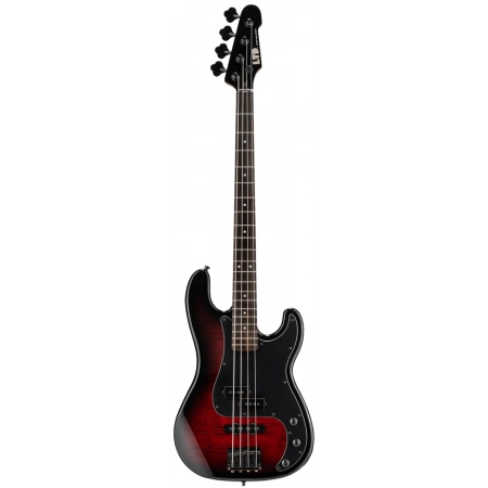 Бас-гітара ESP LTD Surveyor-204DX RB
