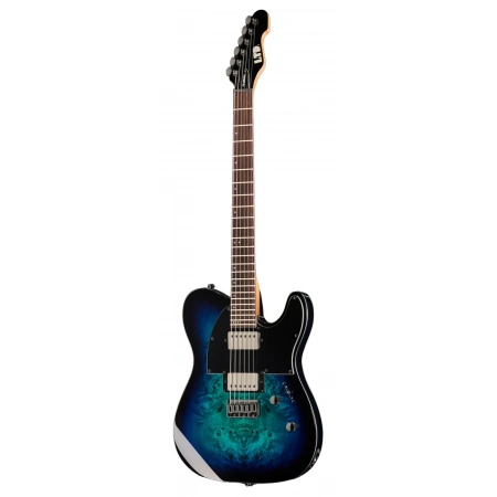 Електрогітара ESP LTD TE-200DX BLB