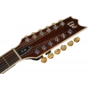 Акустическая гитара ESP LTD TL-12 BK