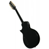 Акустическая гитара ESP LTD TL-12 BK
