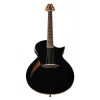 Акустична гітара ESP LTD TL-6 BLK