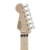 Електрогітара Evh Striped LH RBWS