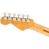 Електрогітара Fender Am Pro Clsc Strat HSS MN FLPB