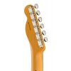 Електрогітара Fender Am Pro Clsc Tele SSS RW FSGM