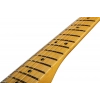 Електрогітара Fender AM Pro II Strat MN DK NIT