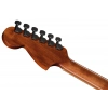 Акустична гітара Fender CA STD Monterey E IPG NAT SAP